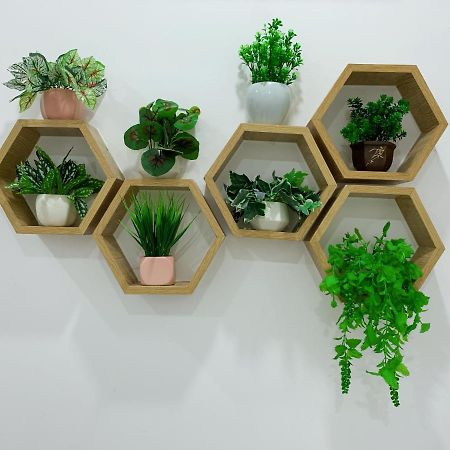Bee Homestay 绥和市 外观 照片